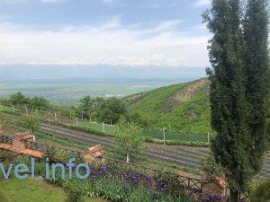 Алазанская долина
