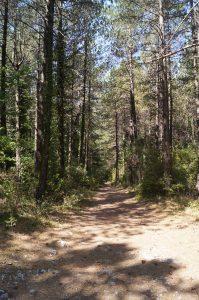 Llogara National Park