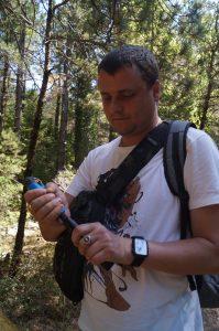 Llogara National Park
